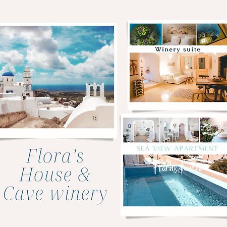 Pýrgos Flora'S House & Cave Wineryヴィラ エクステリア 写真