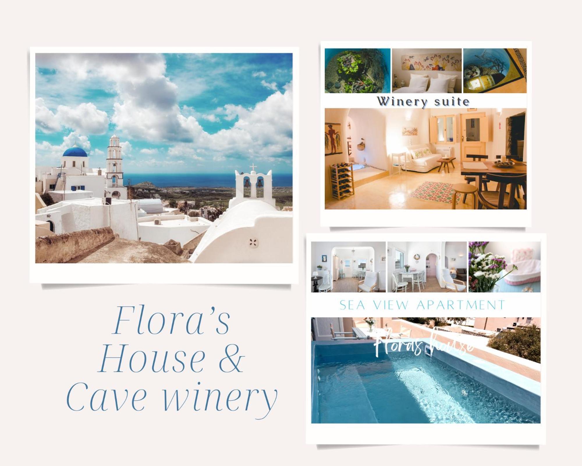 Pýrgos Flora'S House & Cave Wineryヴィラ エクステリア 写真